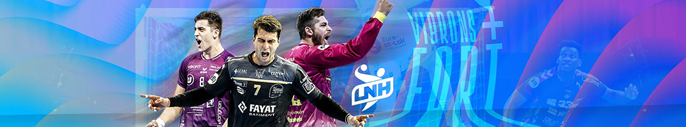 French LNH Division 1 backgound