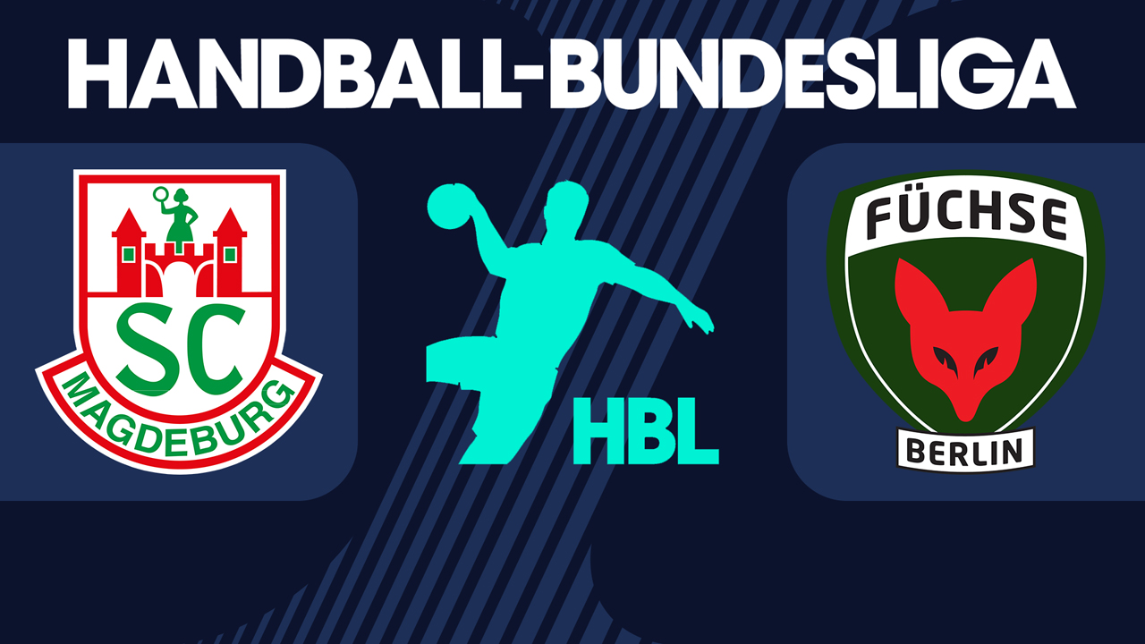 German Handball-Bundesliga backgound