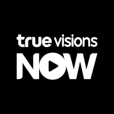 TrueVisions NOW